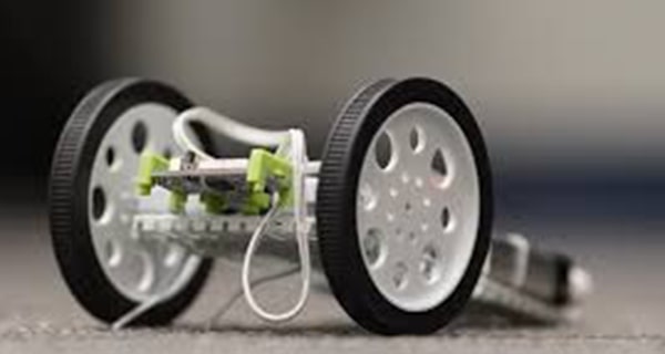 Where do our STEM kits fit?